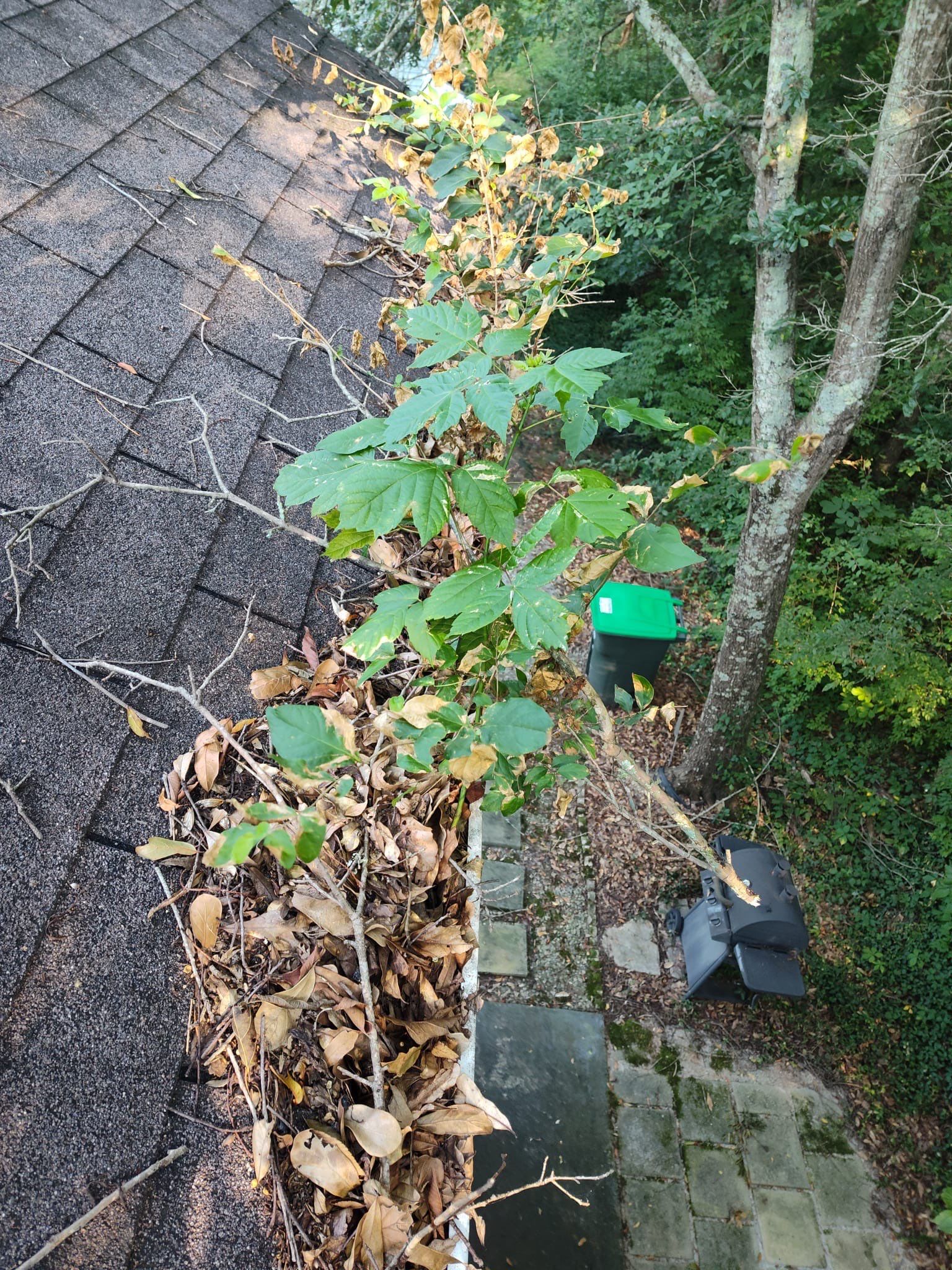 Gutter Cleaning and Gutter Guard Install using Bulldog Metal Gutter Guards by Undersun Roofing 