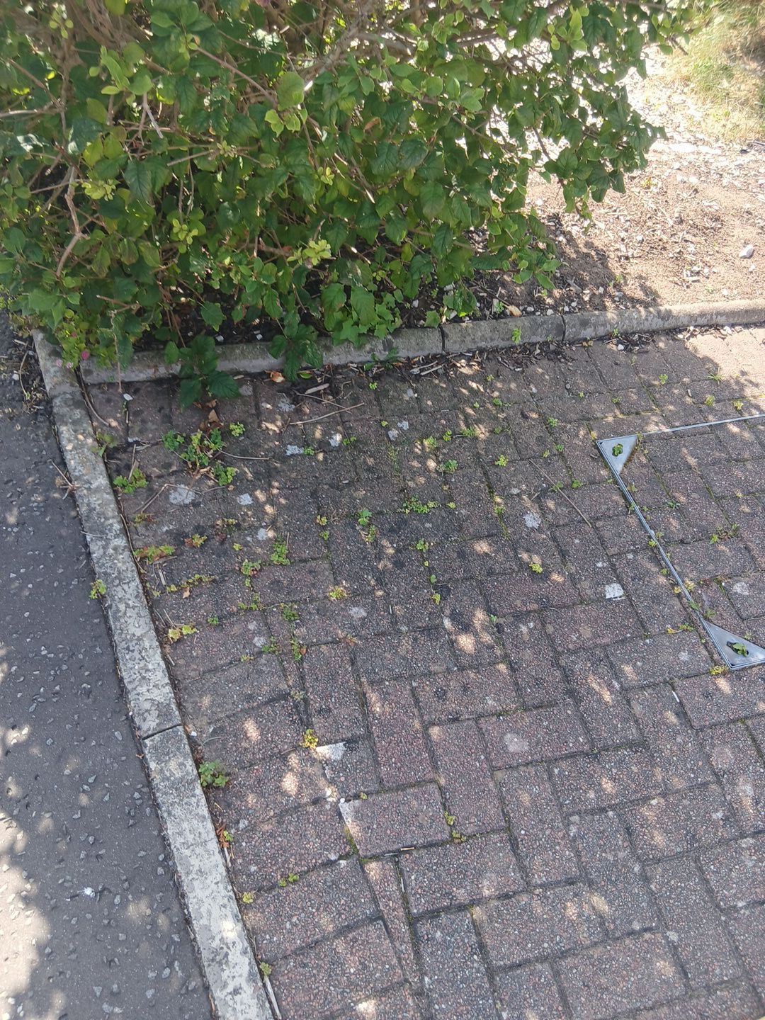 Jetwash in Falkirk by EZXCo Ltd