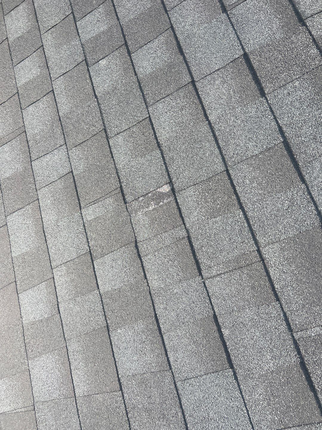 843roof by 843 Roof, LLC