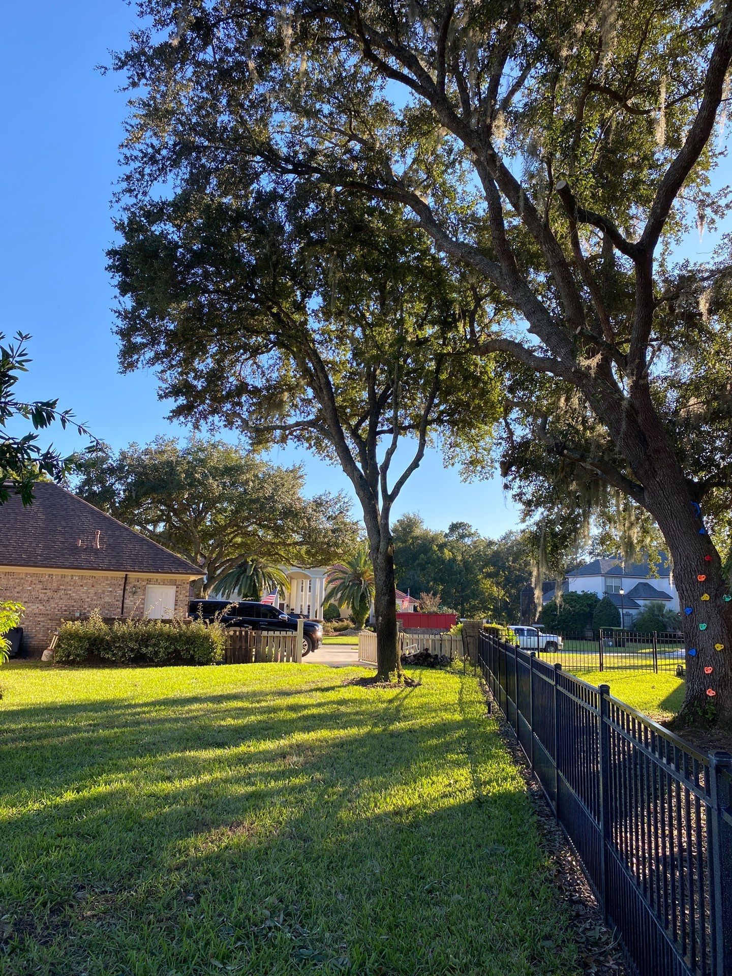Deerwood | Tree Trimming & Sod Install | Residential by ProGreen Services