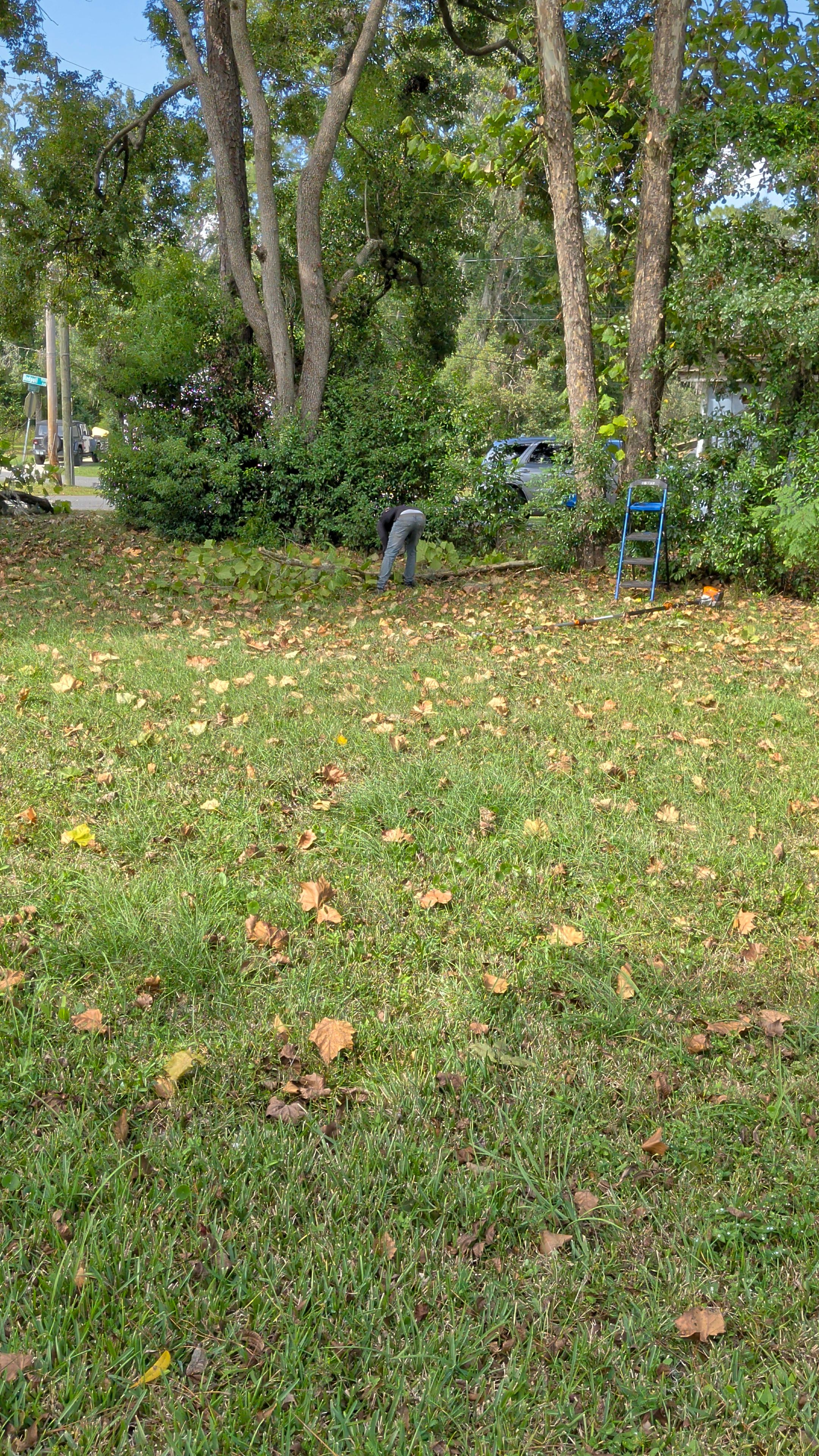 Vacant Lot Cleanup & Ongoing Maintenance — Northside Jacksonville (32219) by Harmoni Home Services