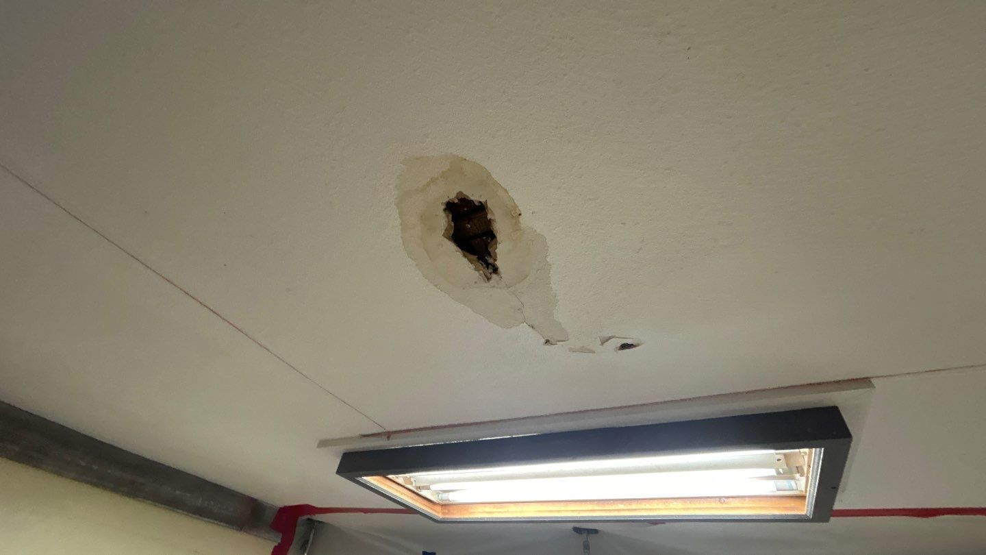 Water Damage Project in Arvada by Accountable Home Services