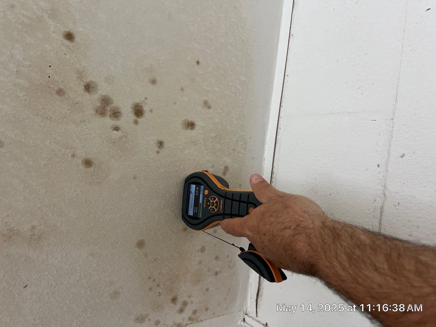 Treasure Island Restoration by Ampm Restoration Services