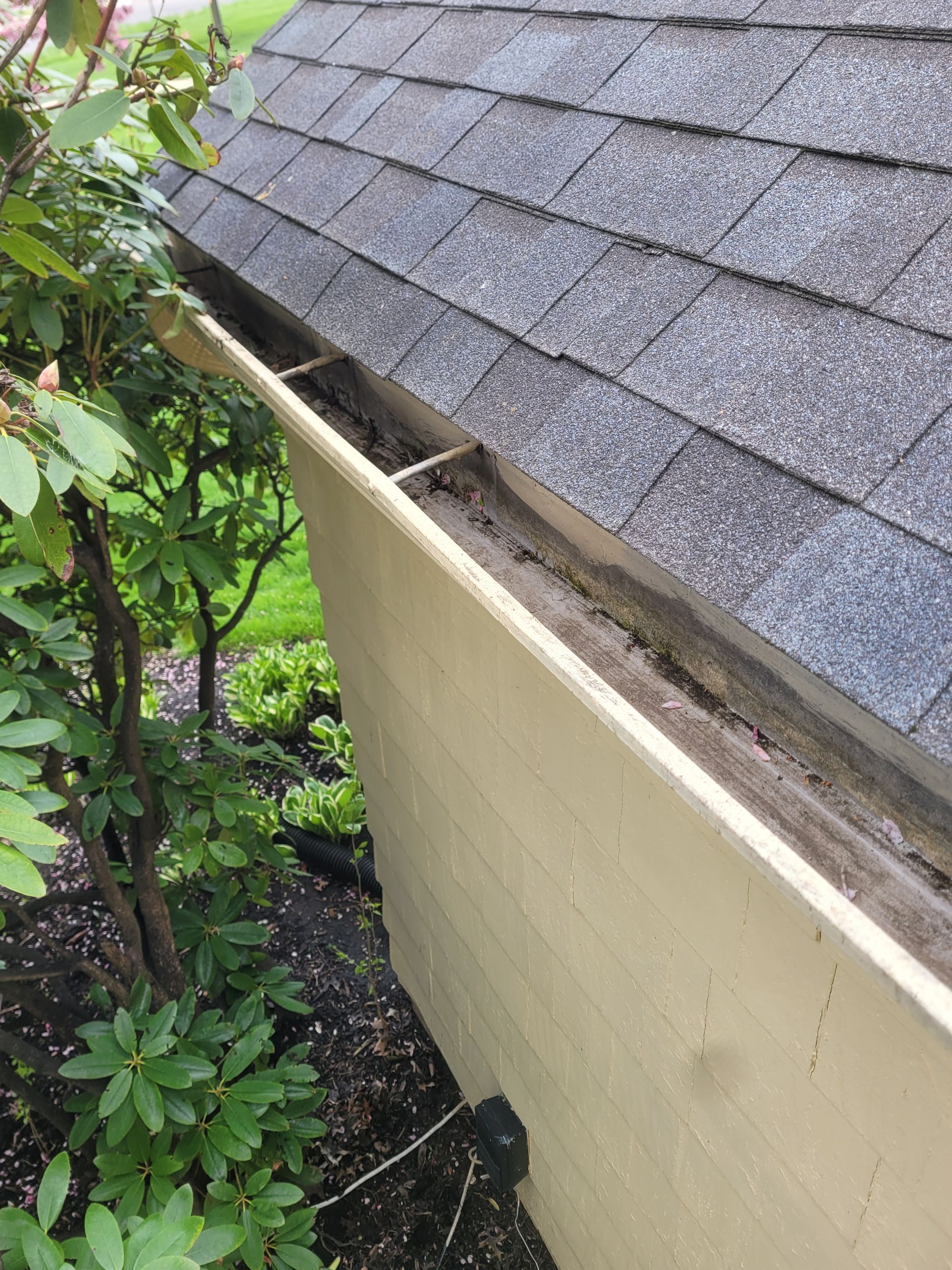  Terri & Petter Kaczmarsky by Silver Leaf Contracting 