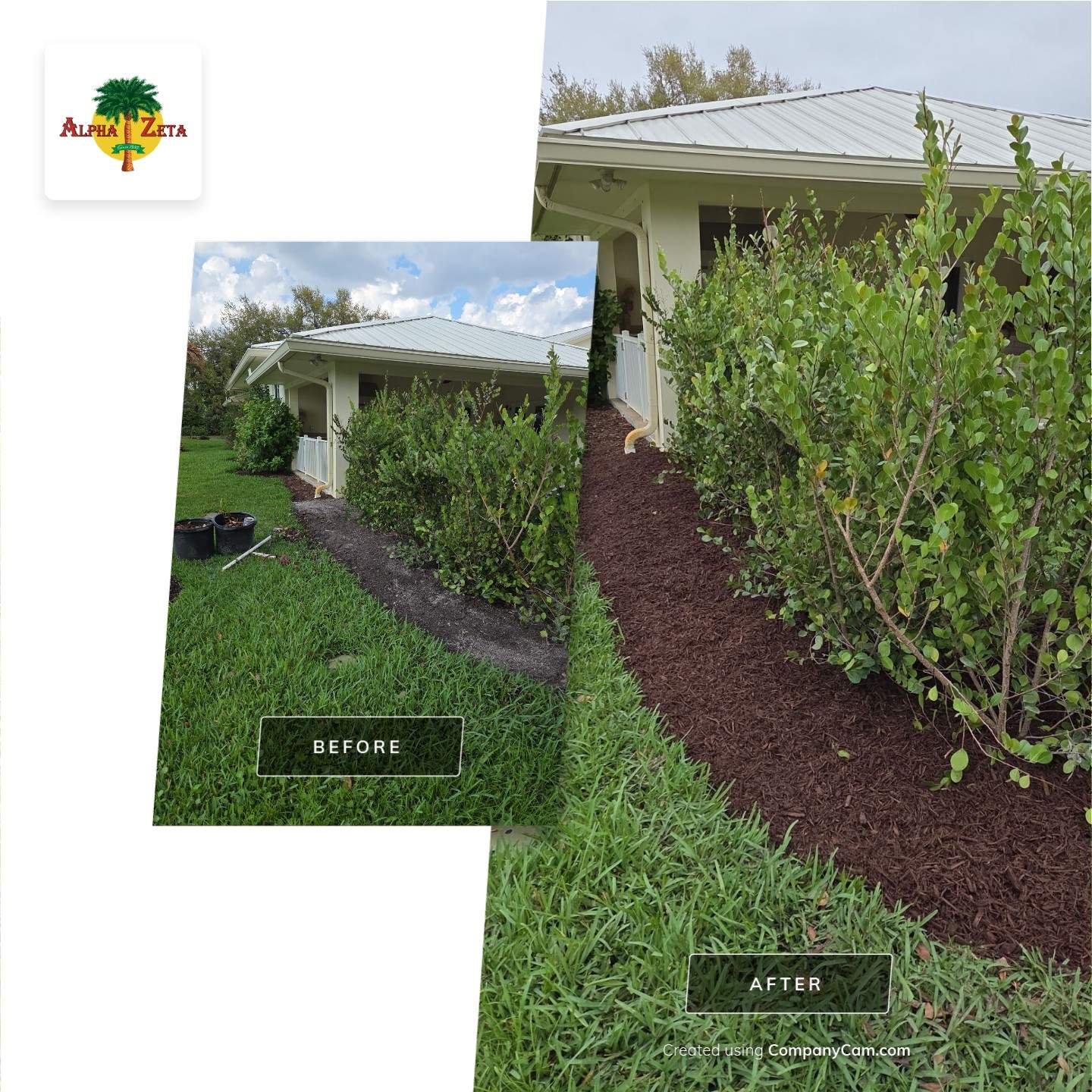 Pipers Landing Hedge Revival by Alpha Zeta Enterprises Inc