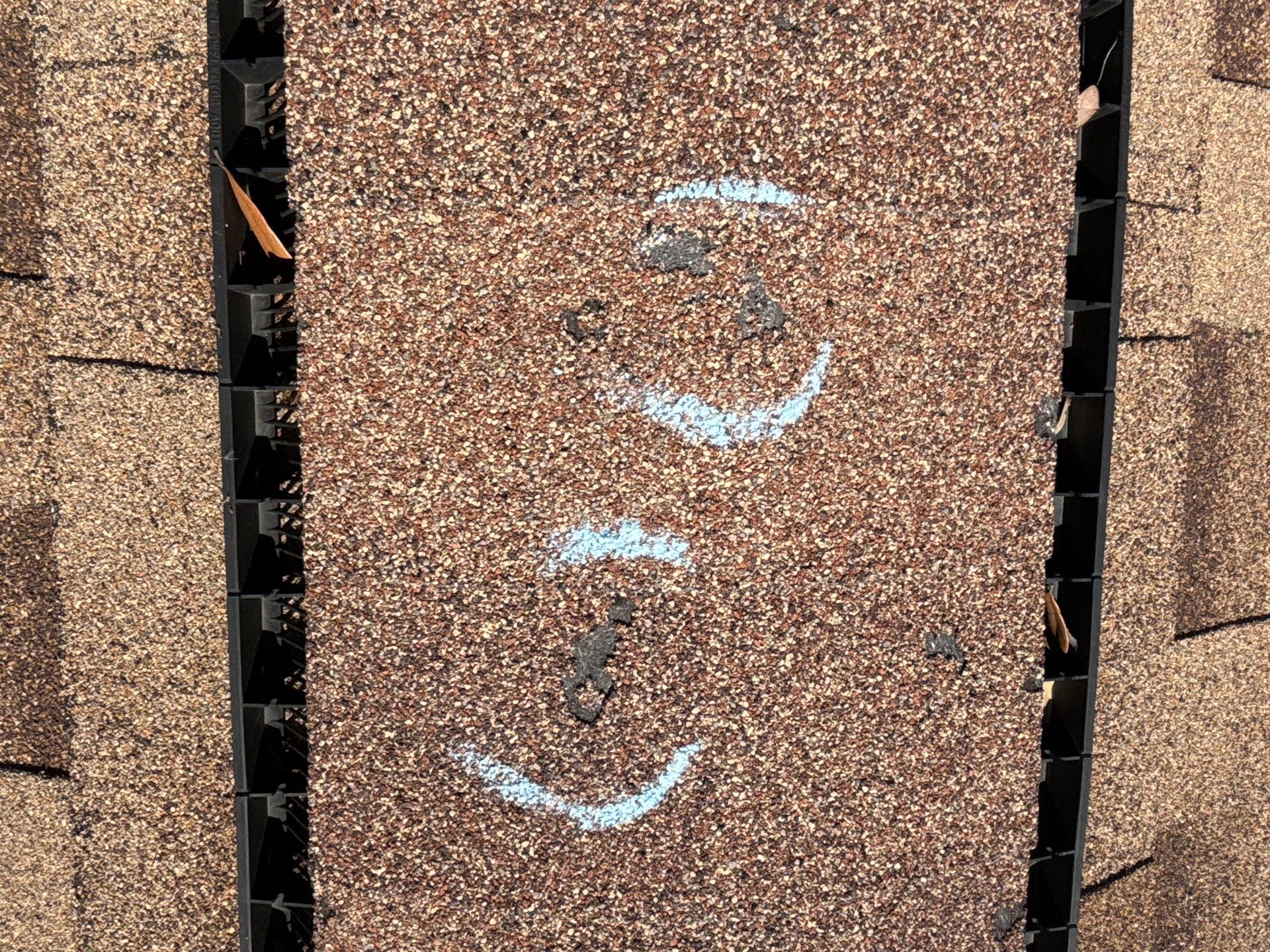 Nicole S by Boss Hogg Roofing