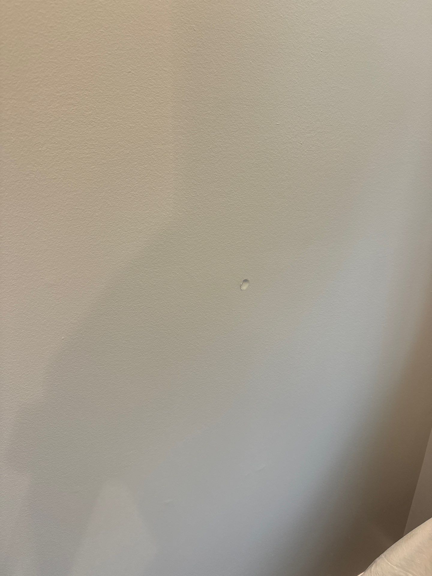Interior Painting and Drywall Surface Repairs in Whitehall by Gordon Painting