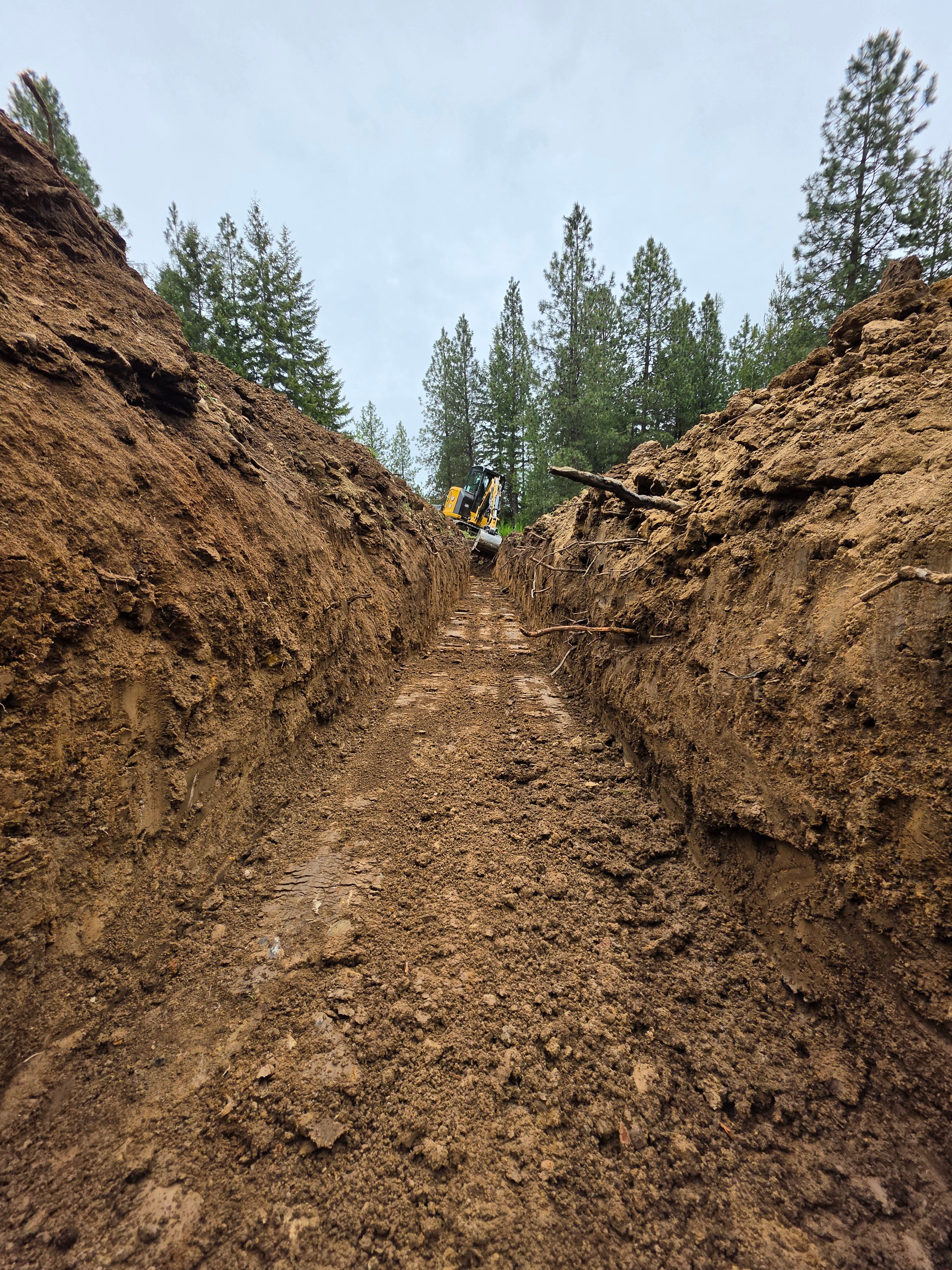 Project in Hayden, ID by Nep's General Labor Services