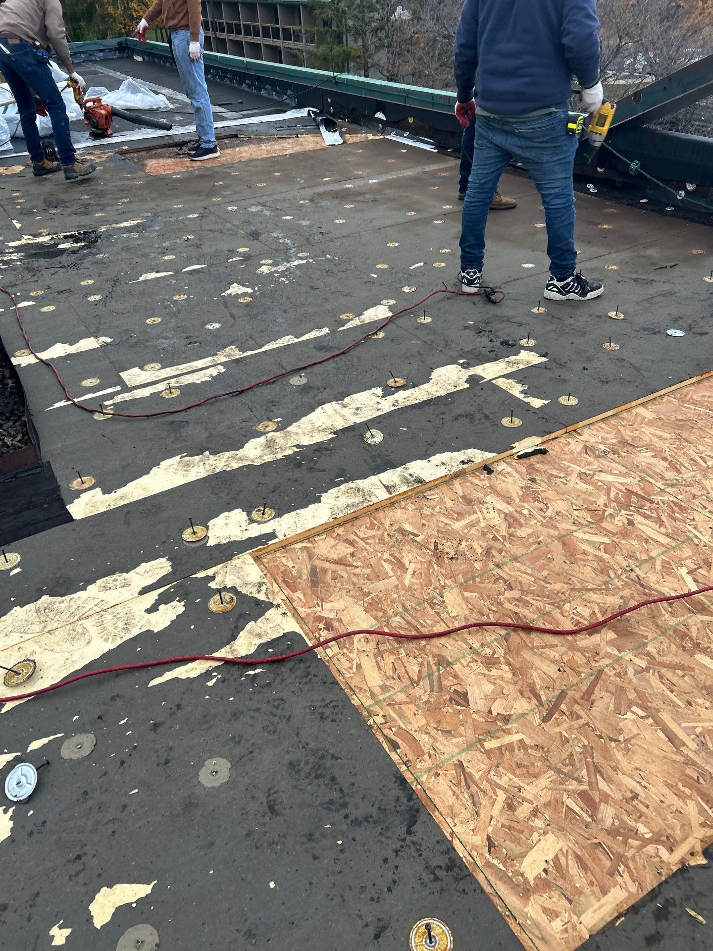 Project in Terra Alta by Duarte’s Roofing 