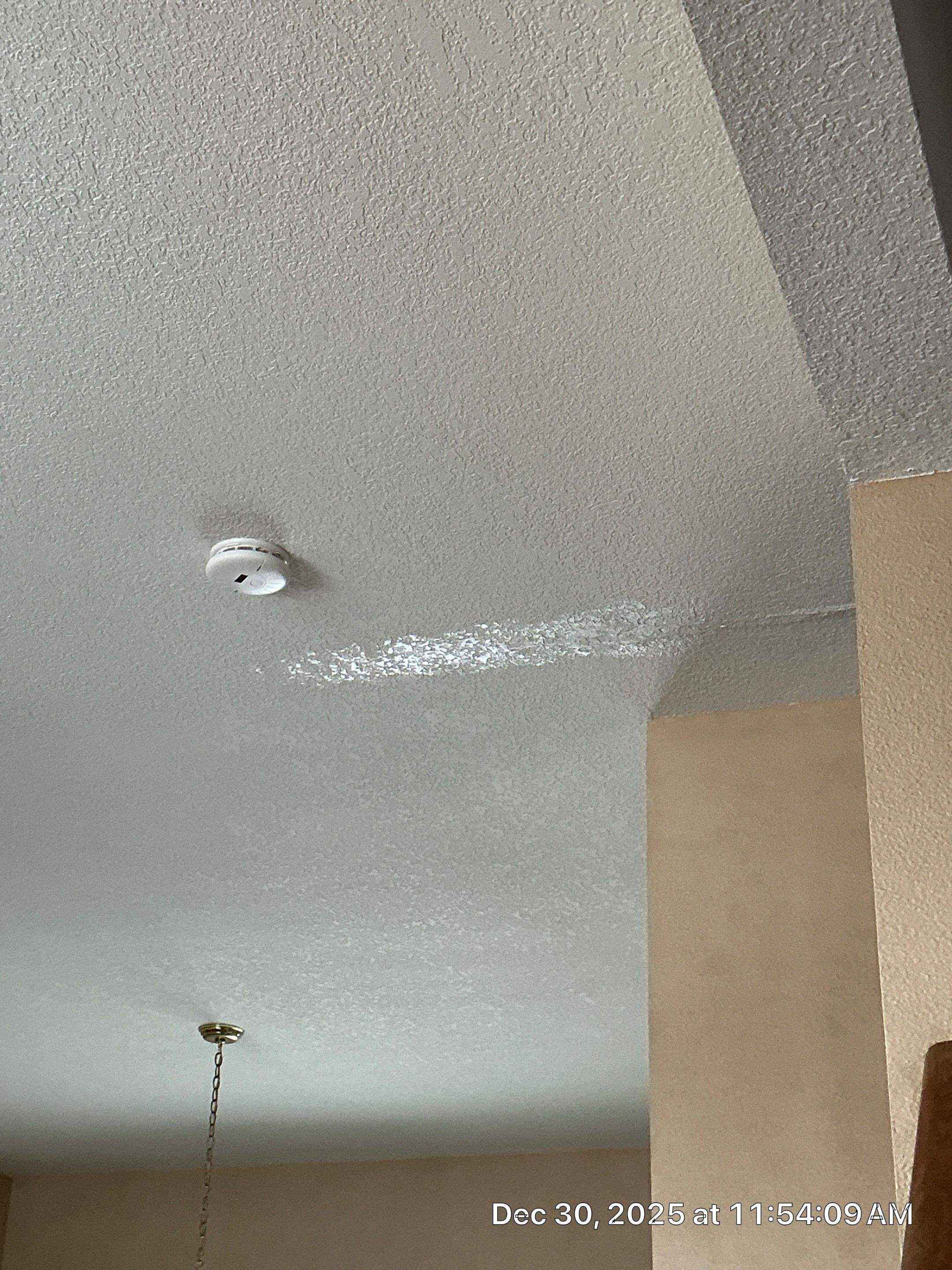 Ankeny Residential Interior | SW Duration in Natural Linen, Velvet Antler Accents & Clary Sage Bath with ProMar Flat White Ceilings by Midwest Paint LLC