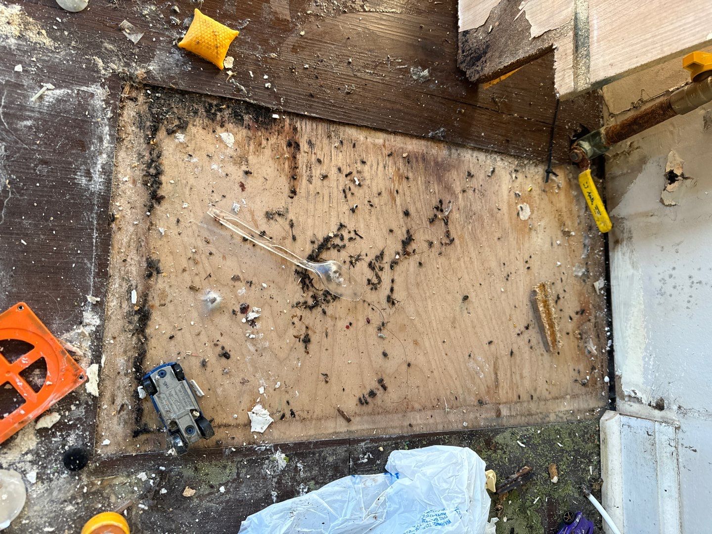 Project in Mt Morris Township by EzDry Water Mitigation & Property Restoration