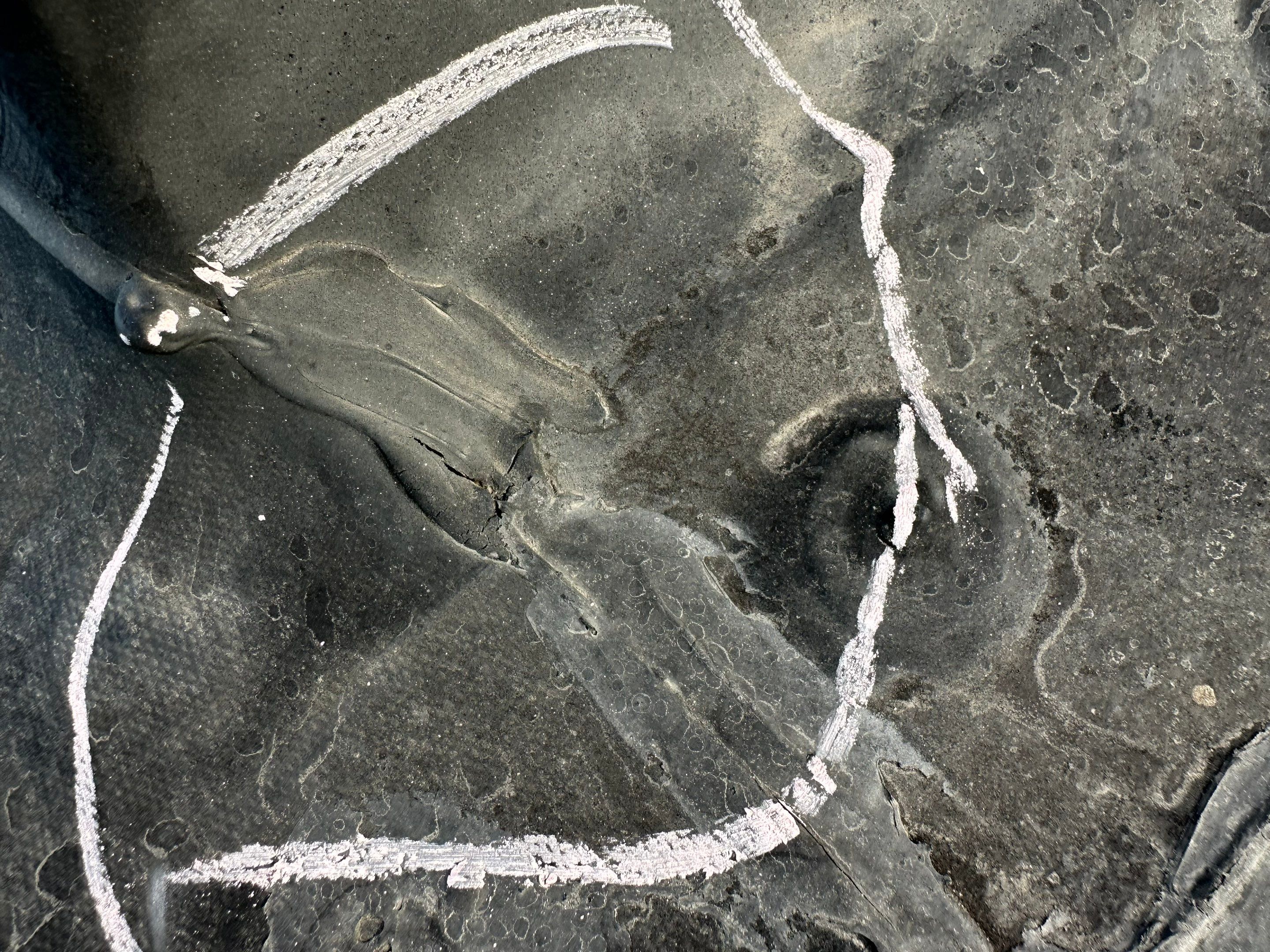 145 Cleveland Road West • Chinook, Montana 59523 by swagg construction