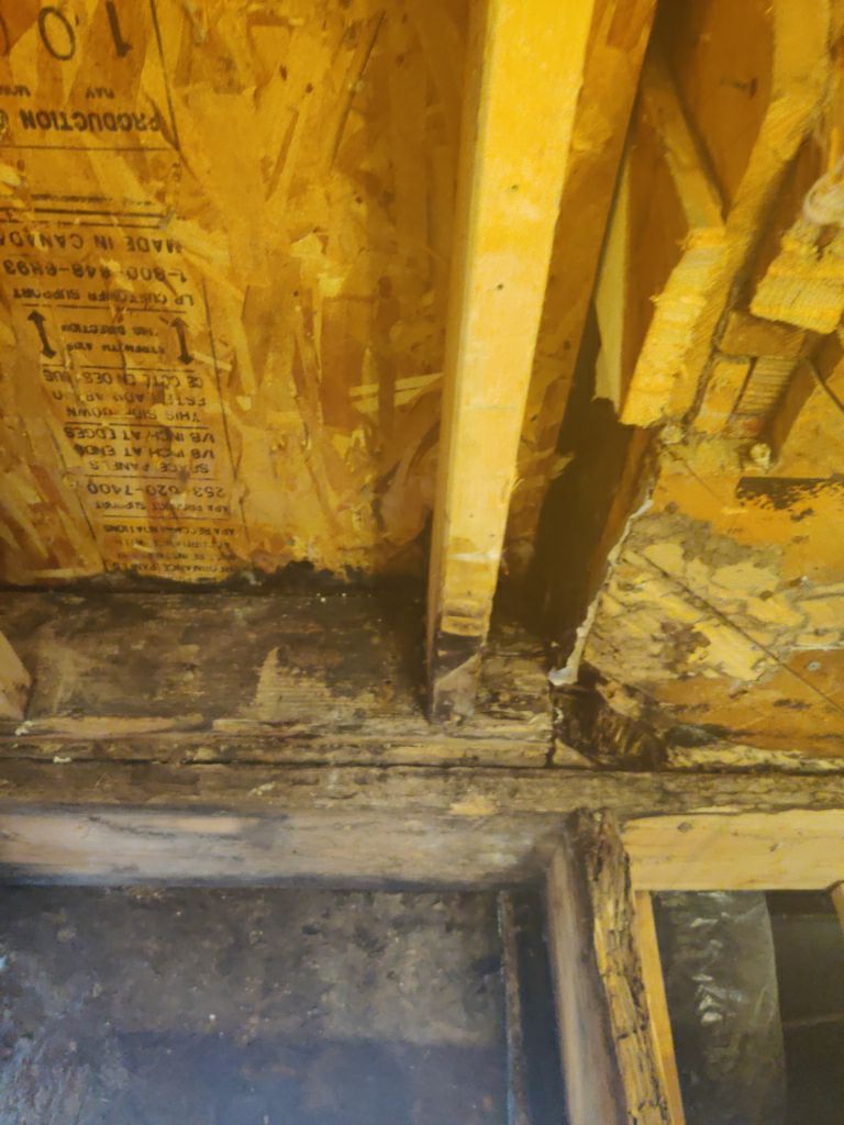 Mold Remediation in Bathroom by Accountable Home Services