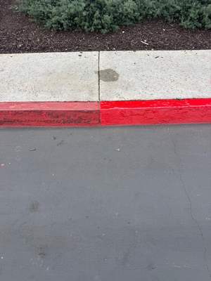Red Curves Painting