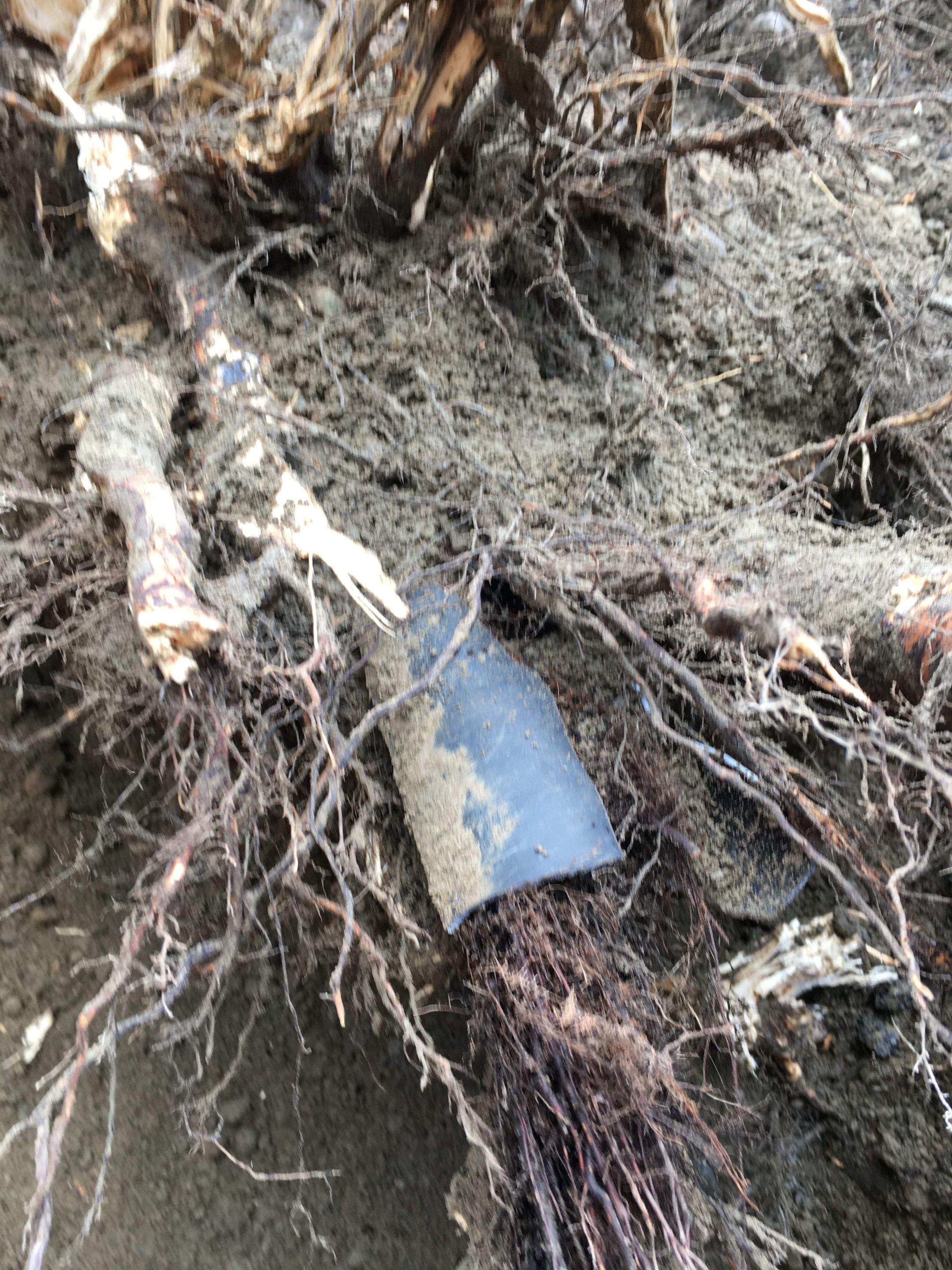 Modern Entry Fence by Jireh Asphalt & Concrete Inc 