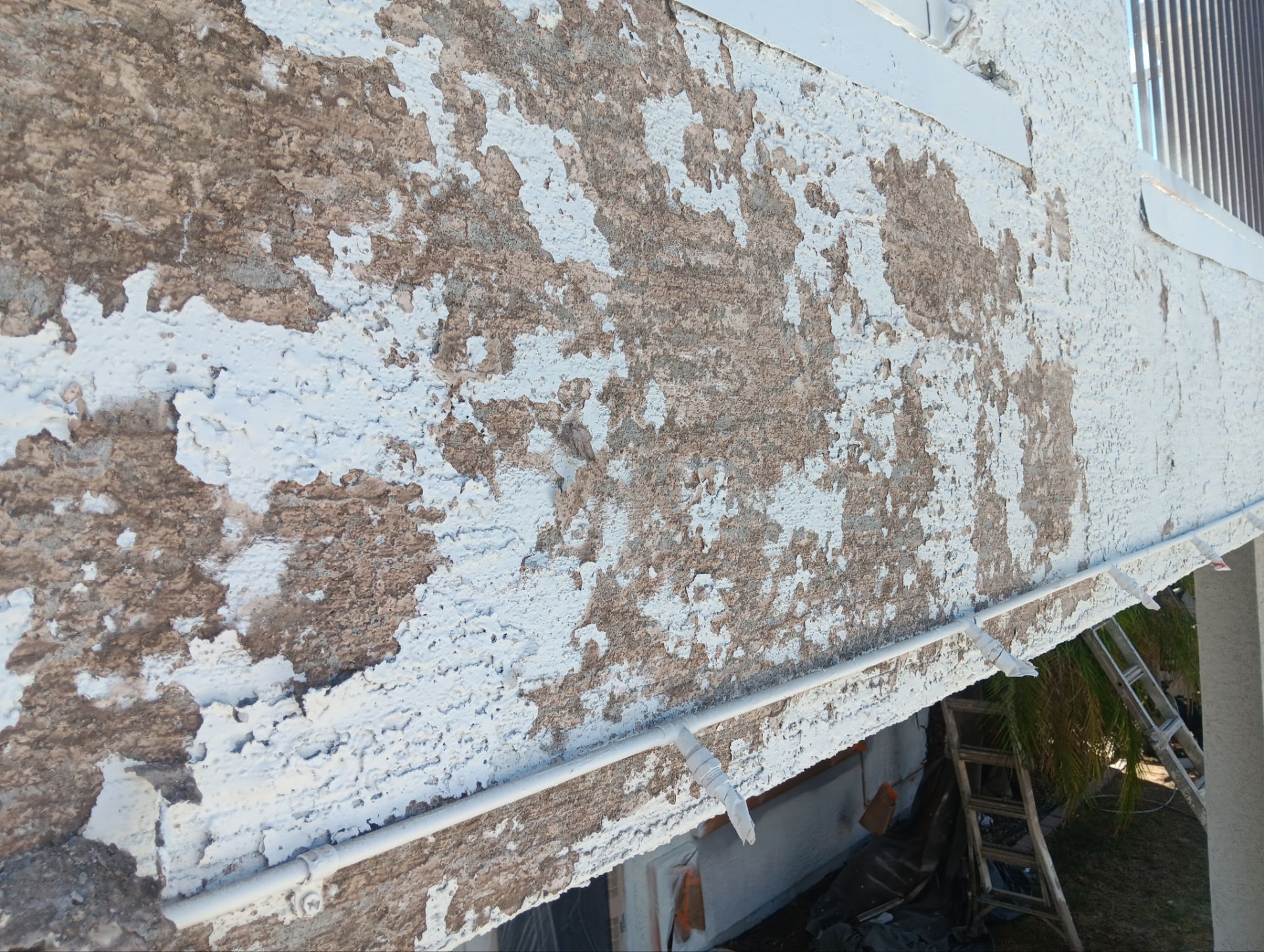 Exterior Painting - Glendale by Crash of Rhinos Painting & Garage Floors