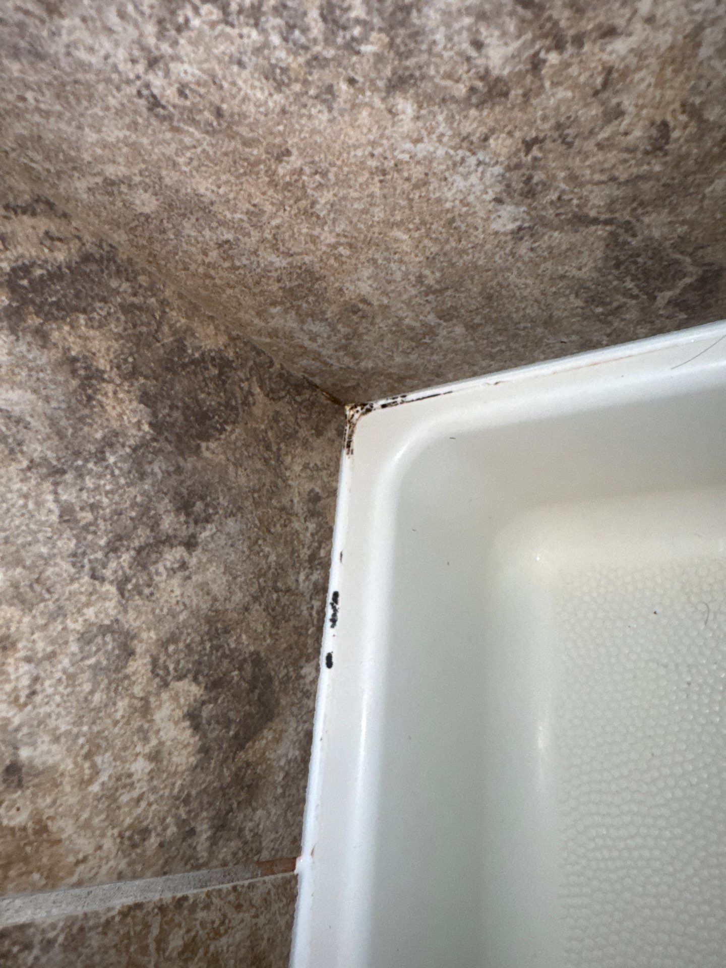 Project in Westminster by Accountable Home Services