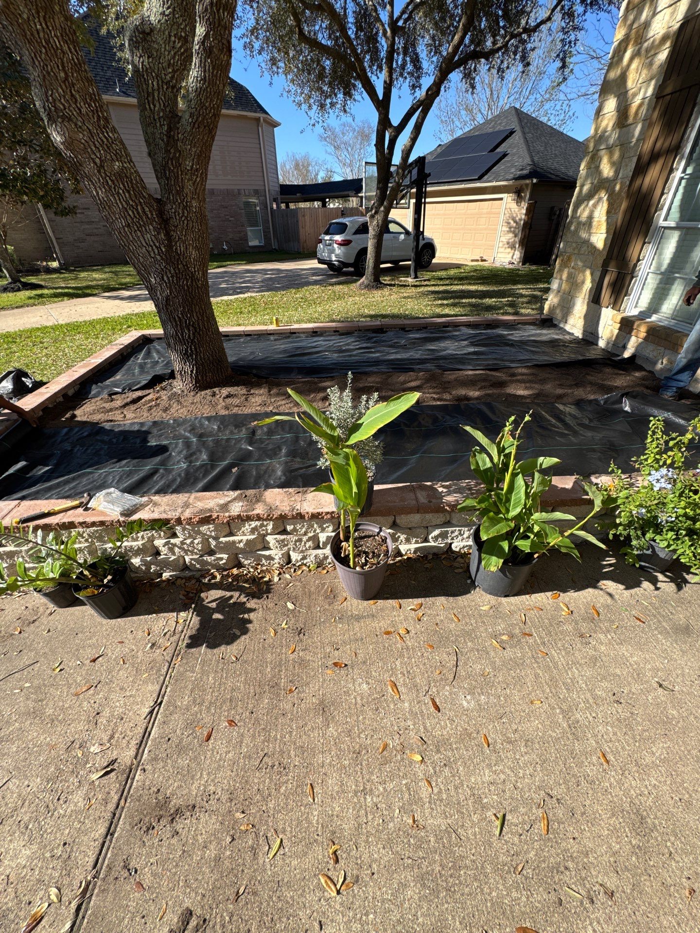 🌿 Mr. George – A True Curb Appeal Conversion by Texas Urban Elements
