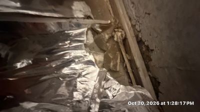 Black Mold Removal — Fort Myers, FL