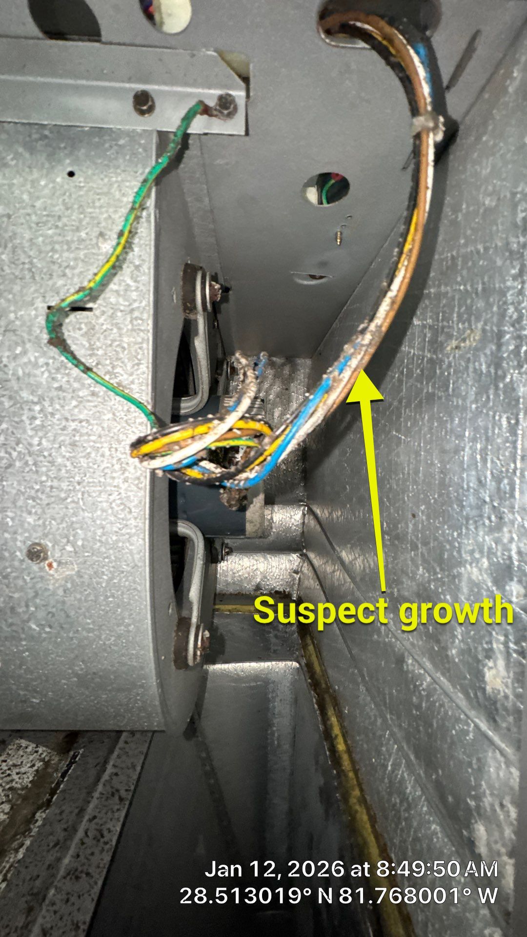 Air Duct and Dryer Vent Cleaning Encapsulation in Clermont by Hygienic Air, Inc