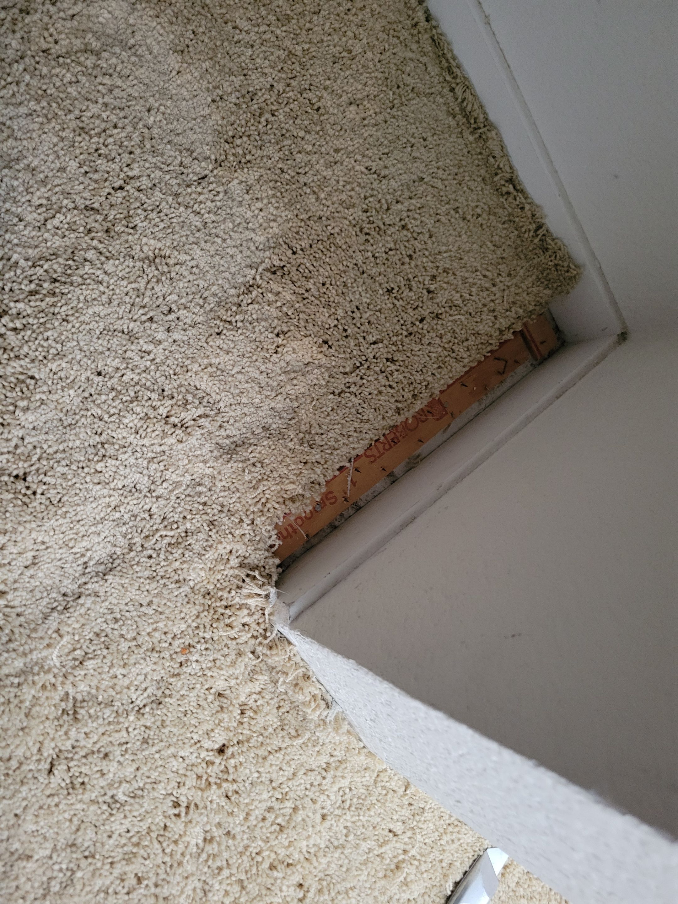 Carpet Re-stretching and Cleaning by Ardent Carpet Restore LLC