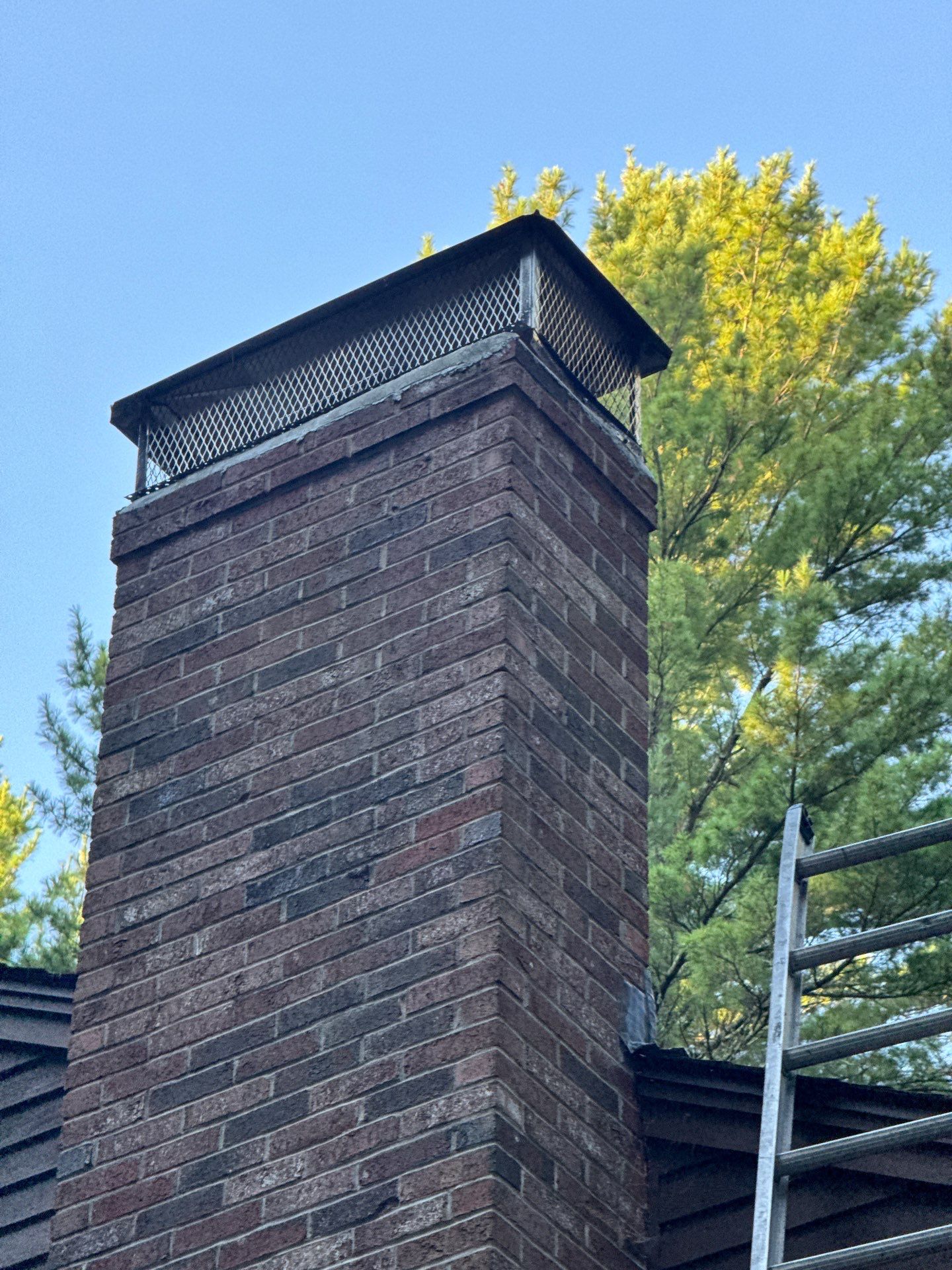 Roof Replacement – Rosalie Brown, MA by Mighty Dog Roofing of Greater Middlesex County