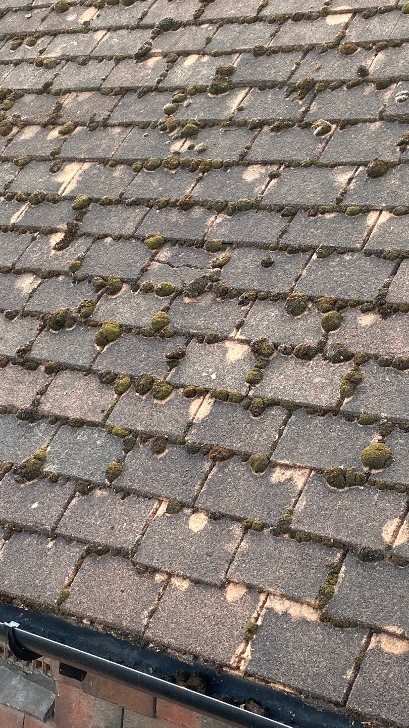 Roof Clean - Moss Removal using Honda 15lpm Low Pressure Washing Machine by Ges Exterior Cleaning ltd