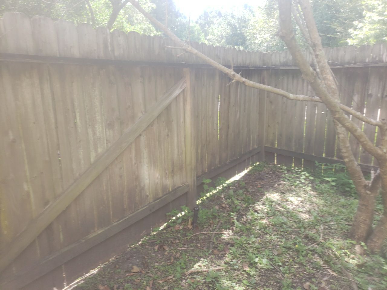 6'6" Western Red Cedar Fence Install by Astro Outdoor Designs