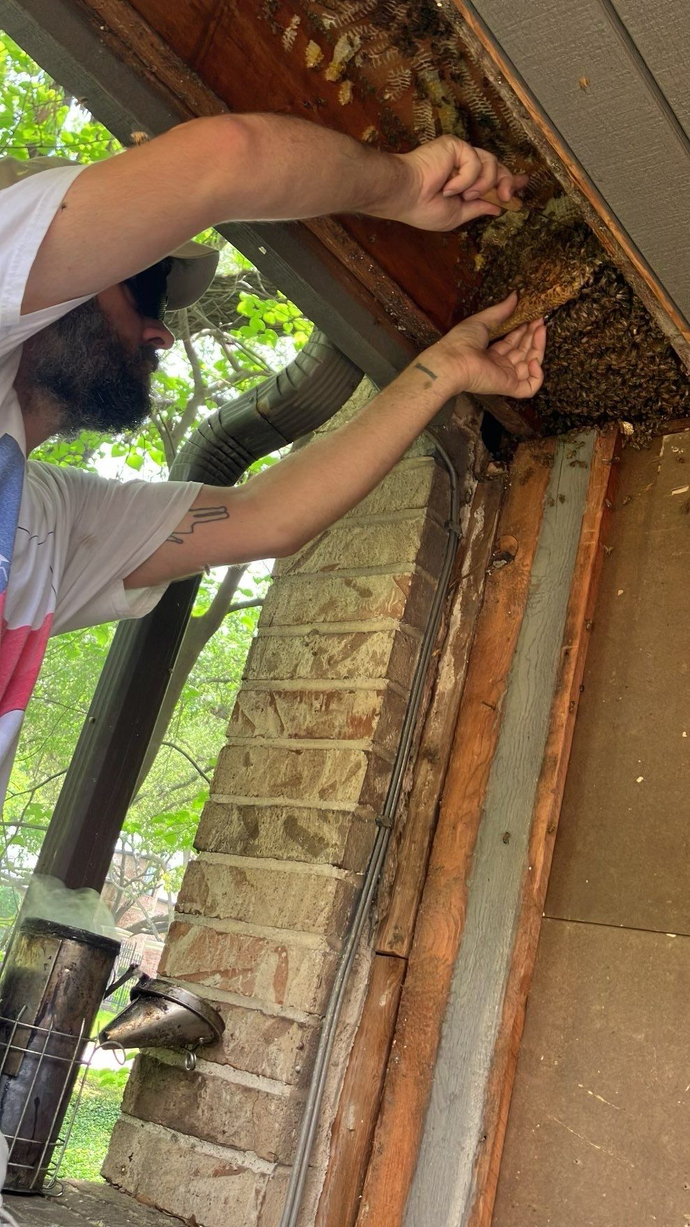 Love this house! by Rockwall Honey Bee Company