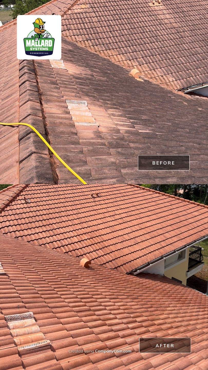 Tile Roof and Paver Driveway Cleaning by Mallard Systems