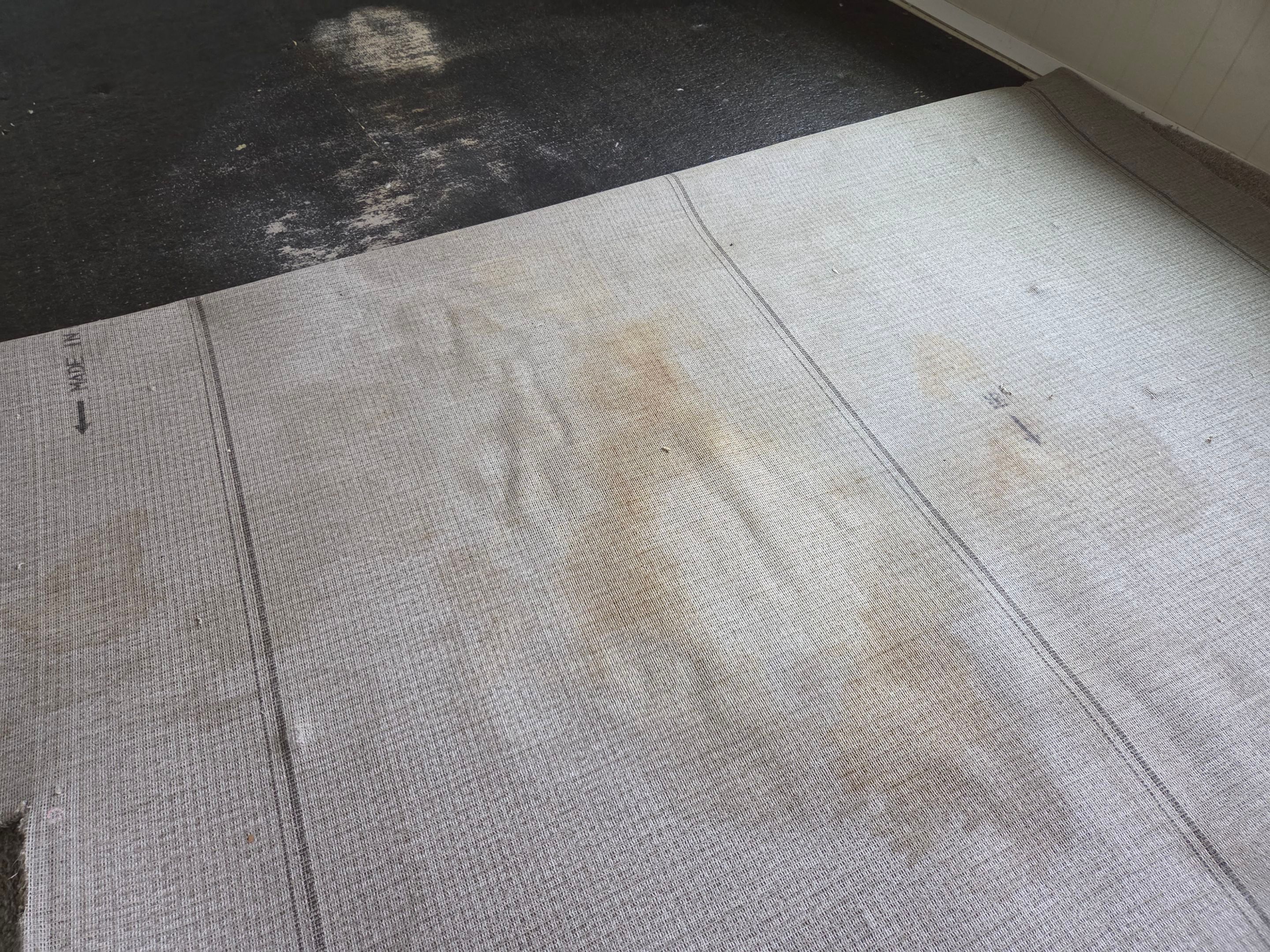 Pet Urine Pad Removal, Extraction and Cleaning by Ardent Carpet Restore LLC