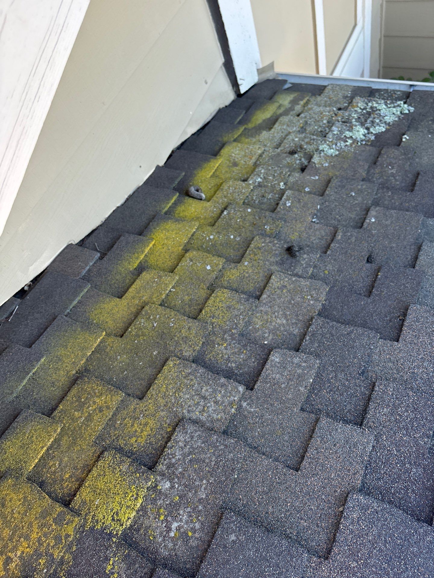 Moss Removal by Top Elevation