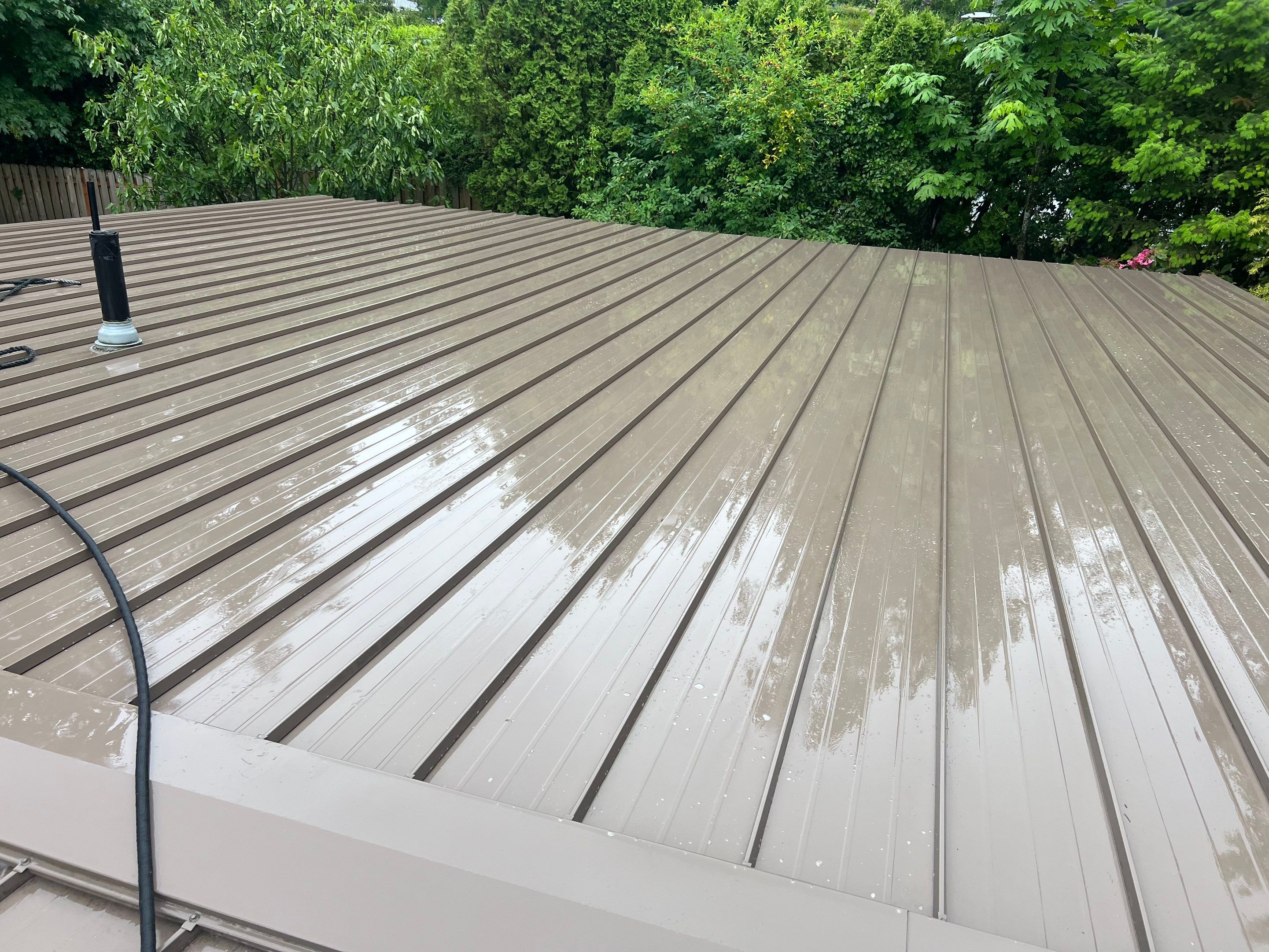Roof Cleaning in Portland by Prodigy Roof Solutions