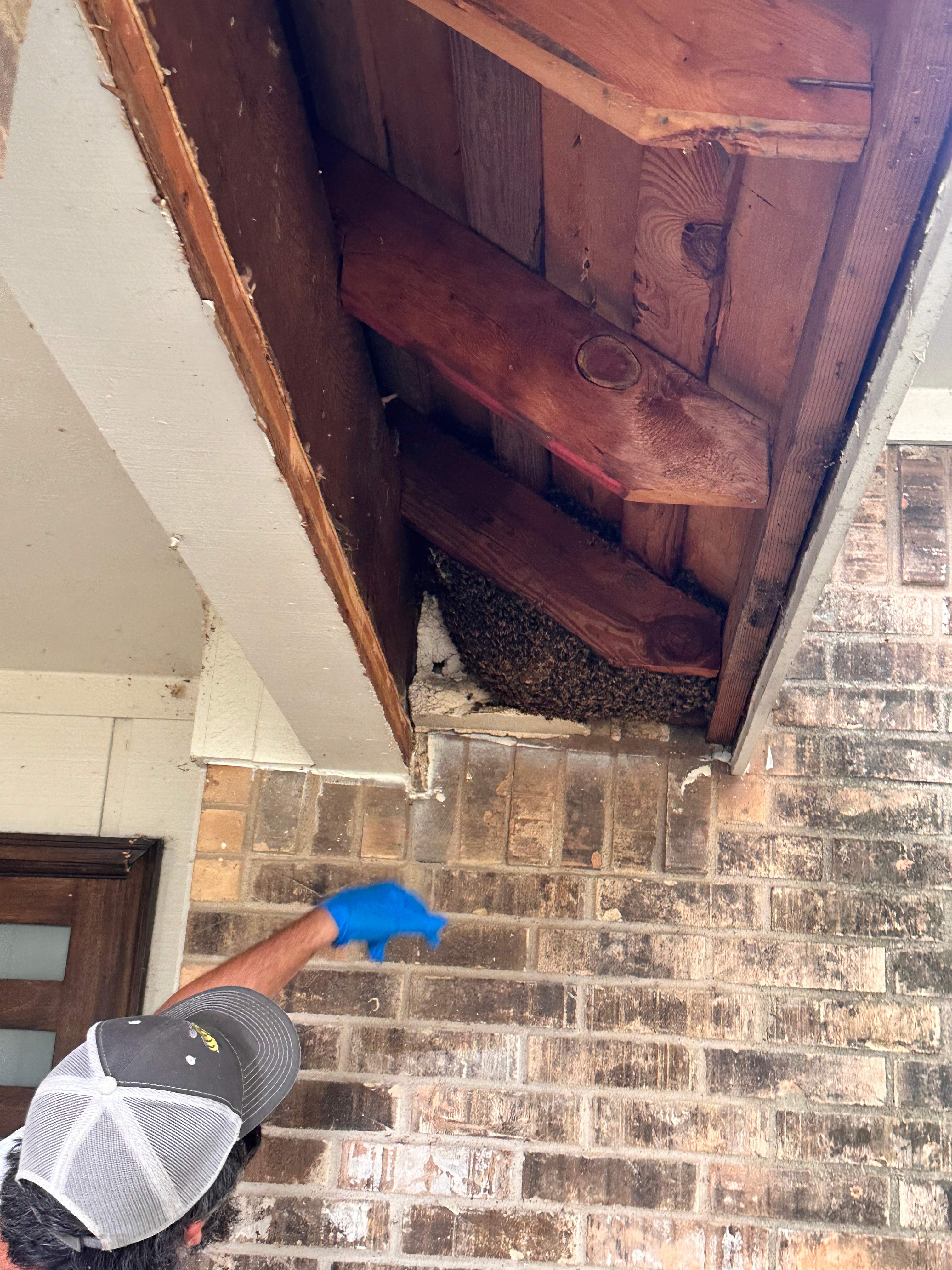 Yes, Professor. by Rockwall Honey Bee Company