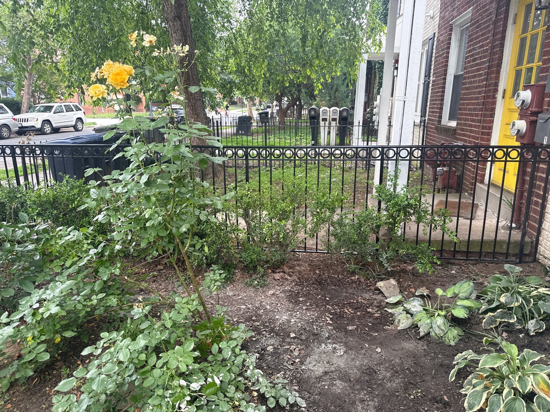 Custom Iron Fencing & Pet-Safe Gate Installation in Washington, DC. by Capitol Iron Works