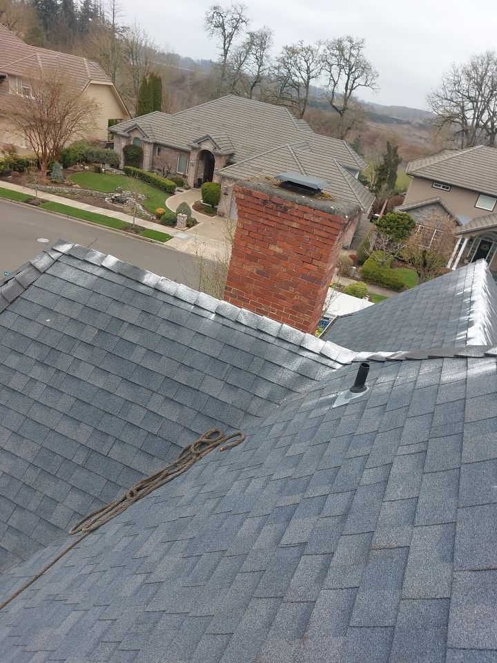 Roof Cleaning  using Moss Treatment  by BEST Roofing & Waterproofing