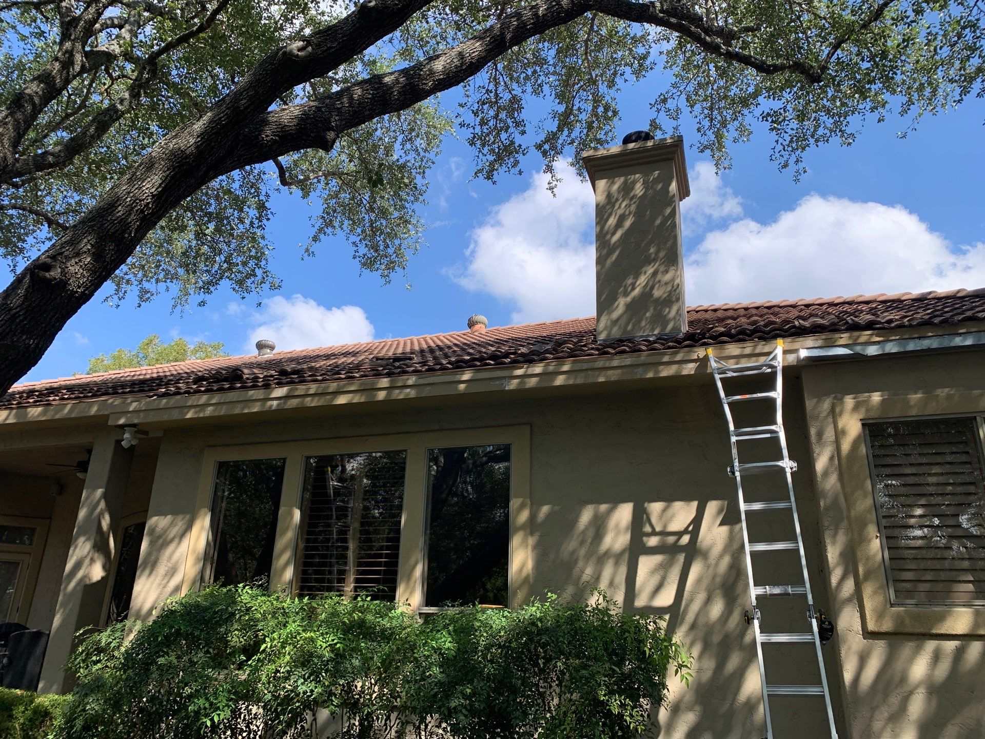 Fascia Carpentry Repair and Paint  by Rox Roofing