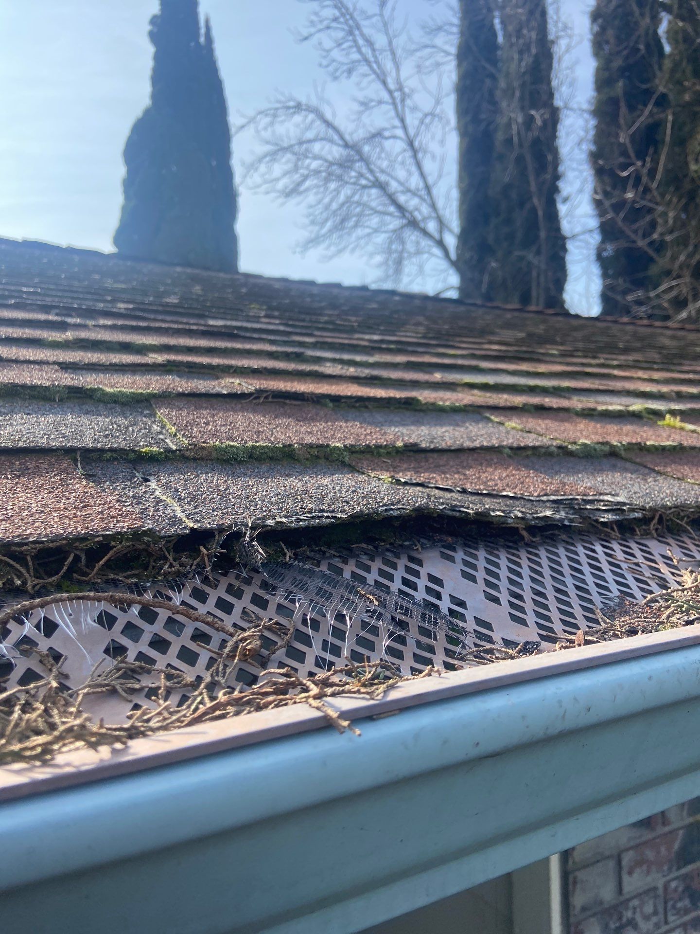 Roof Rejuvenation using Roof Maxx Treatment by Roof Maxx of Folsom