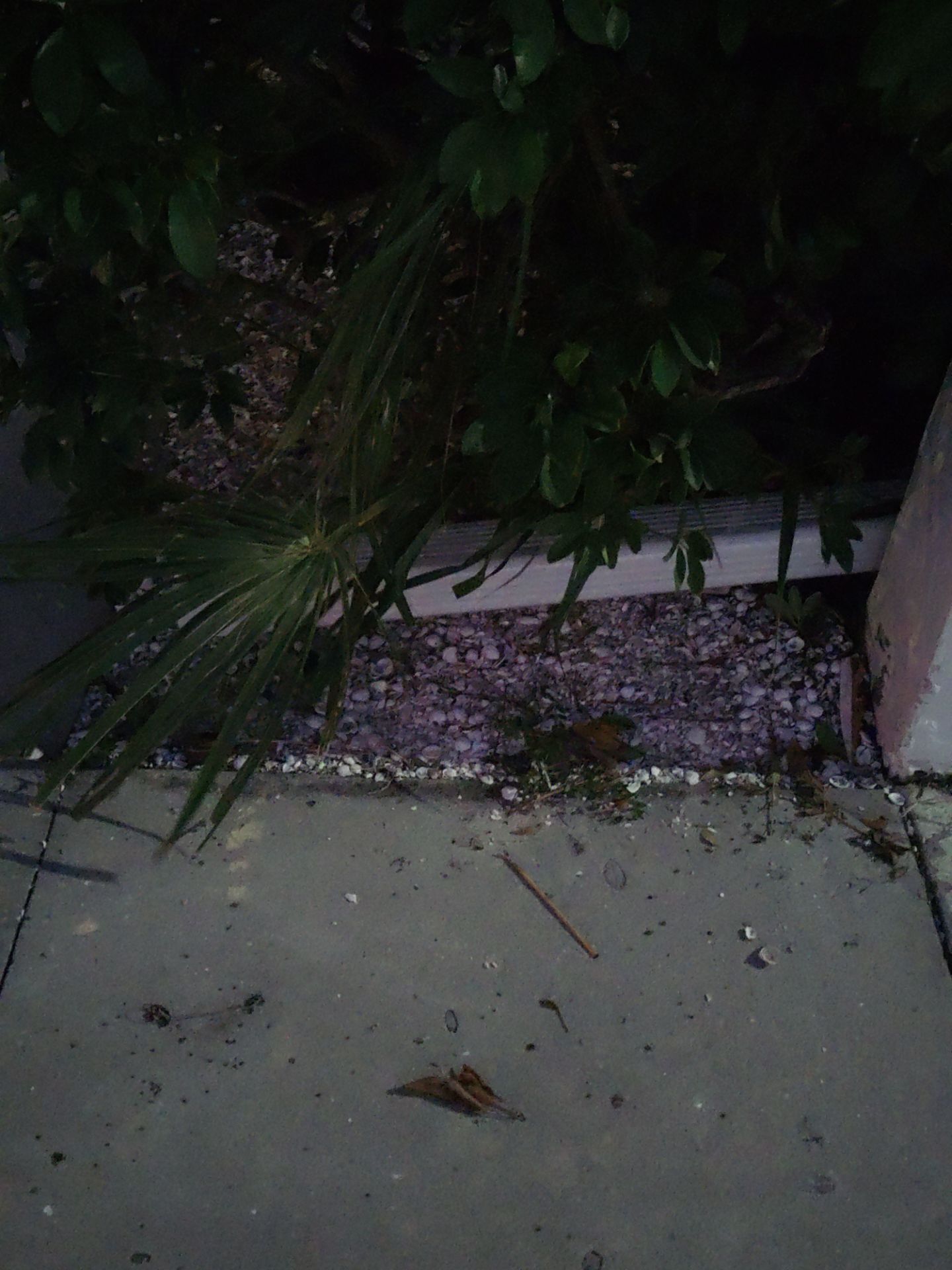 Downspout Installation and Alignment in Sarasota FL by Gutter Professors