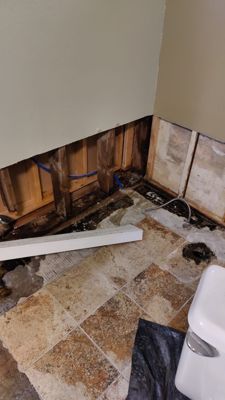 Water Damage and Mold Remediation by Accountable Home Services