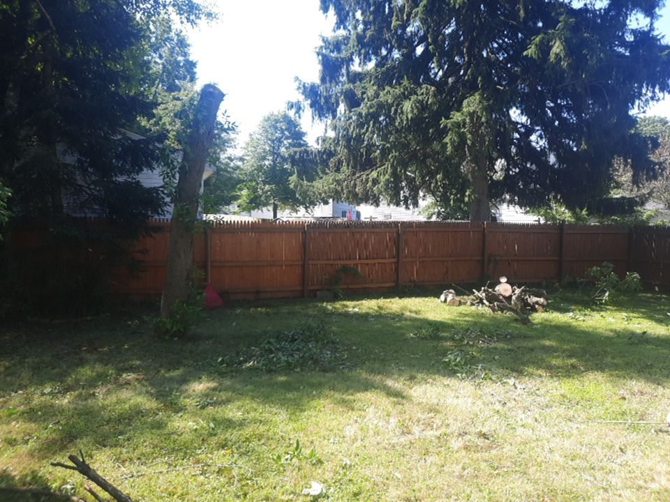 Tree Removal using Tree Removal by Mike Jones & Sons Tree Service LLC 