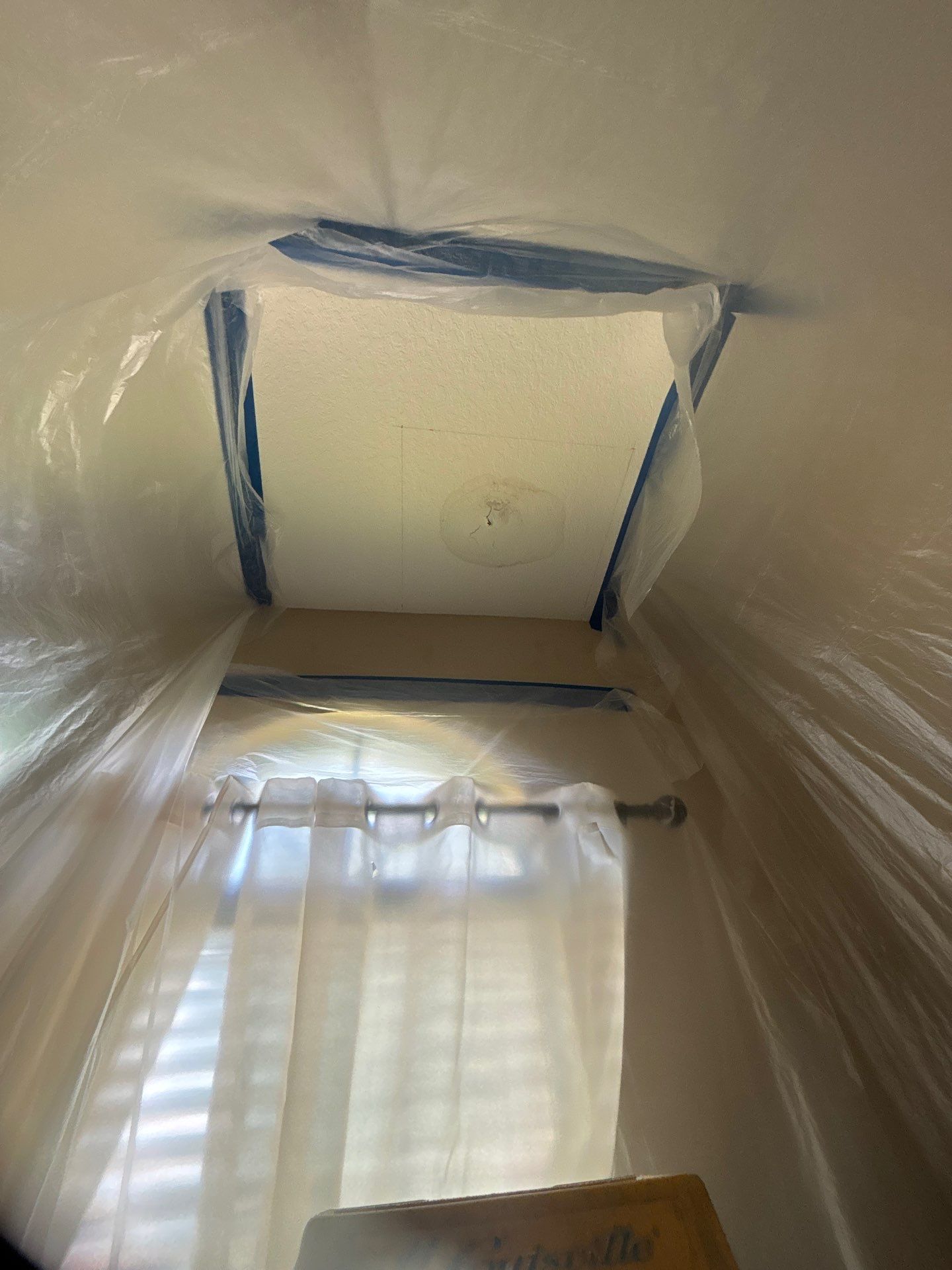 Mold Removal and treatment in Brandon, Florida by Ampm Restoration Services