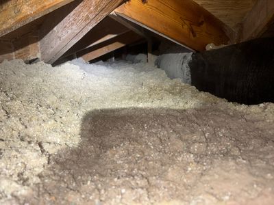 Project in Paramount