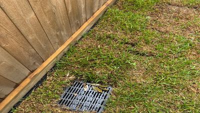 Major Water Problem Solved: Drainage Overhaul for Mary Lou! 🌧️➡️ curb