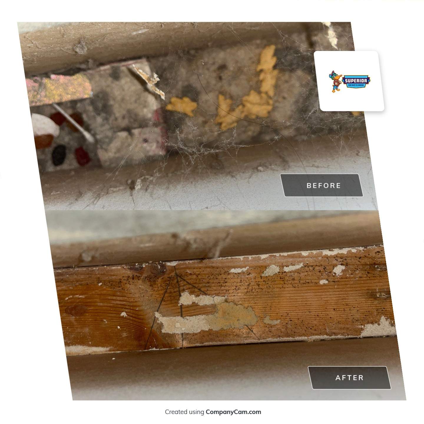 Air Duct Cleaning With a Vacuum Truck in Mars, PA by Superior Air Duct Cleaning