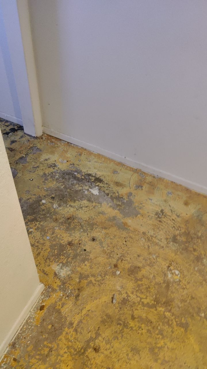Water Damage by Accountable Home Services