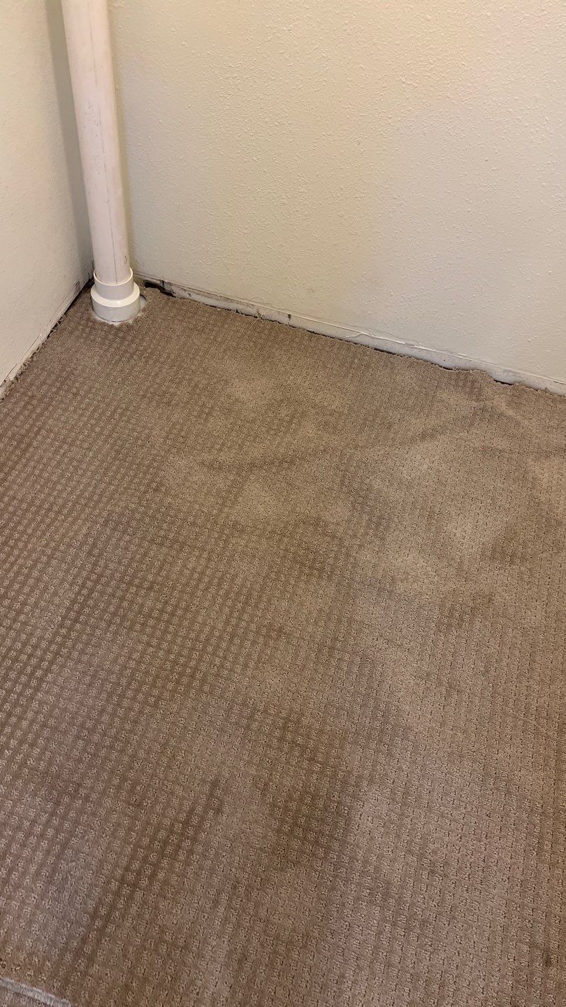 Mold Remediation by Accountable Home Services