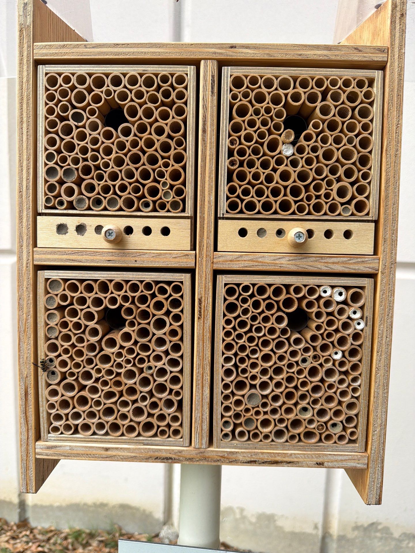 Commercial Rooftop Colony by Rockwall Honey Bee Company