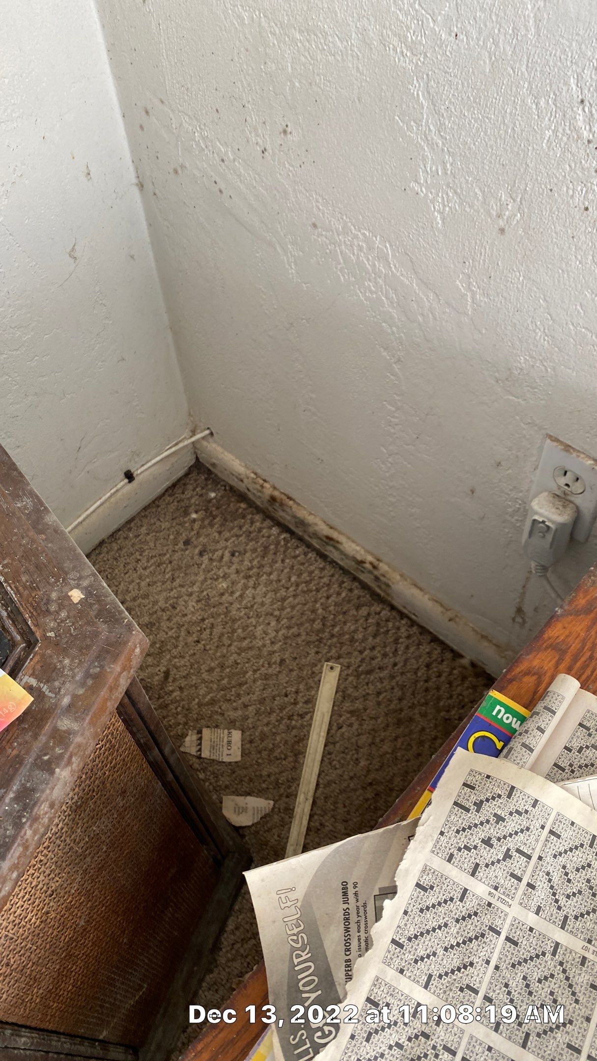 Mold Assesment using IR Camera, Moisture Meter, Air Cassatte samples and Tape lifts by Building performance Solutions LLC