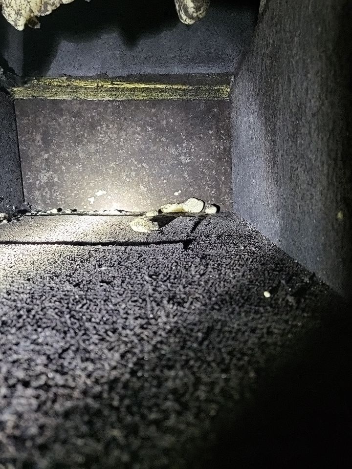 HVAC Mold Remediation & Indoor Air Restoration in Bethany Beach, DE by Healthy Home Solutions